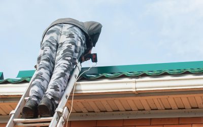 5 Warning Signs For a Professional Roof Cleaning or Repair