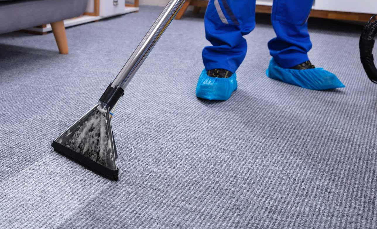 Person cleaning a carpet with a steam cleaner, wearing blue shoe covers on a gray carpeted floor.